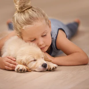 Angenehmes Geherlebnis - Nap Zeit für die zwei Freunde - Stock-Fotografie